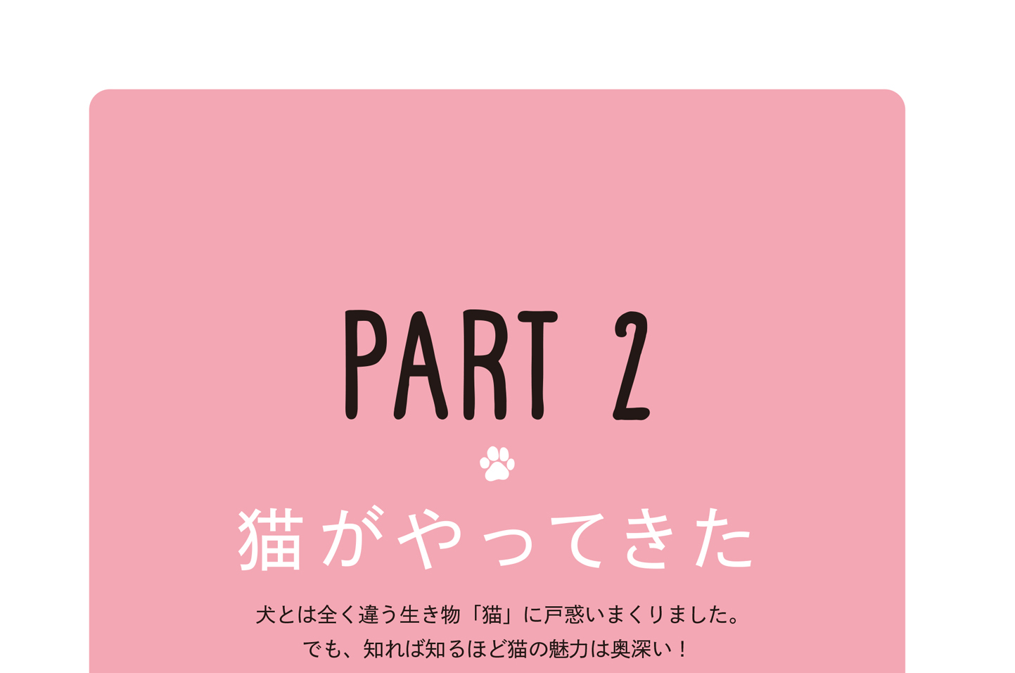 PART 2　猫がやってきた