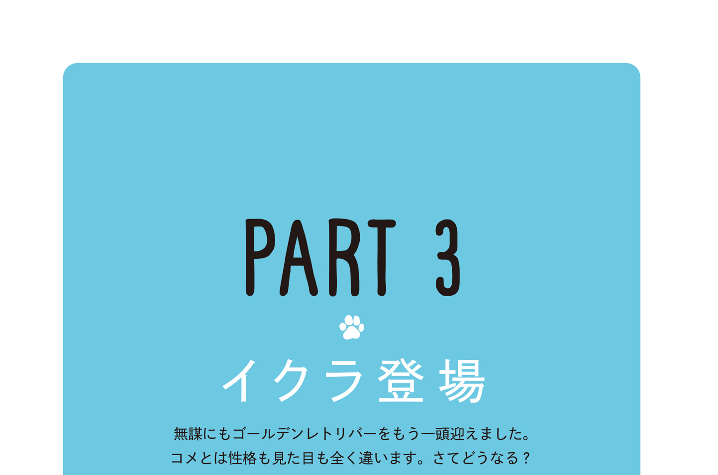 PART 3　イクラ登場