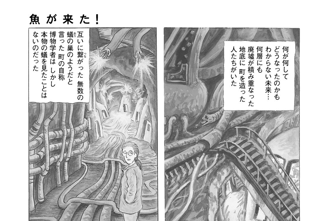 第３尾　魚が来た！