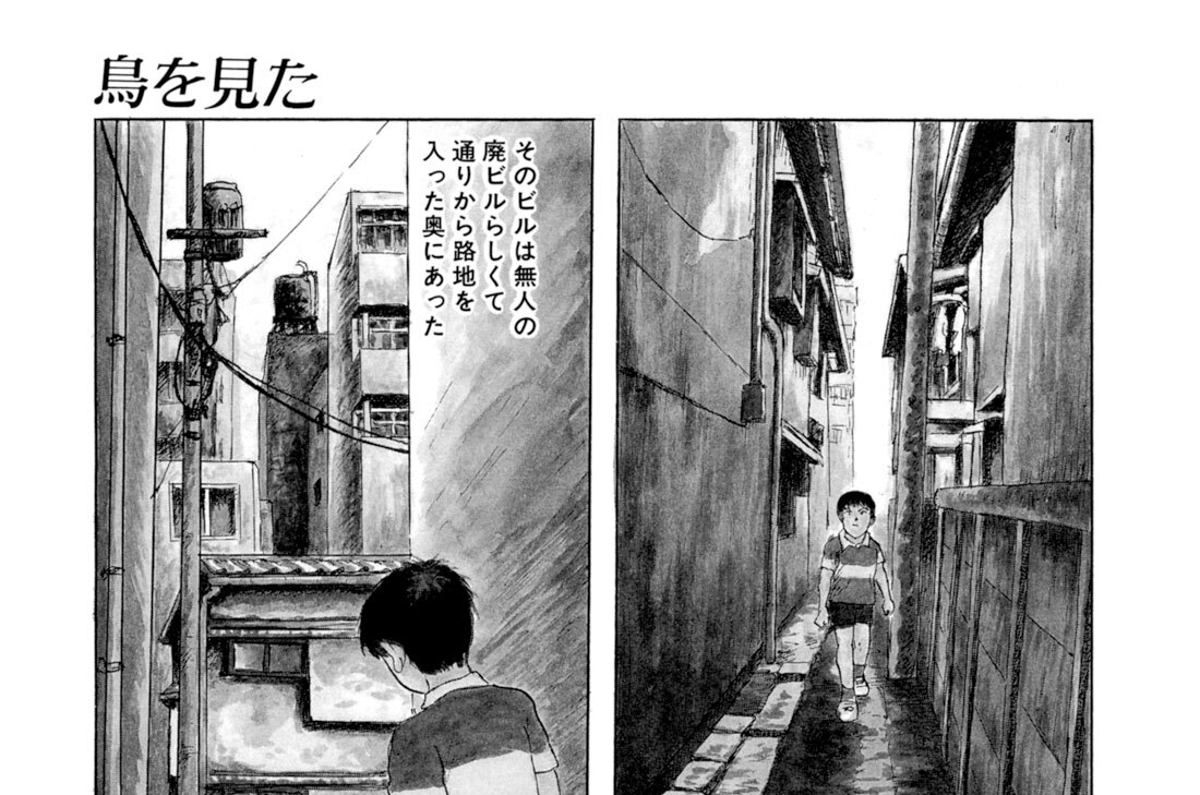 第６羽　鳥を見た