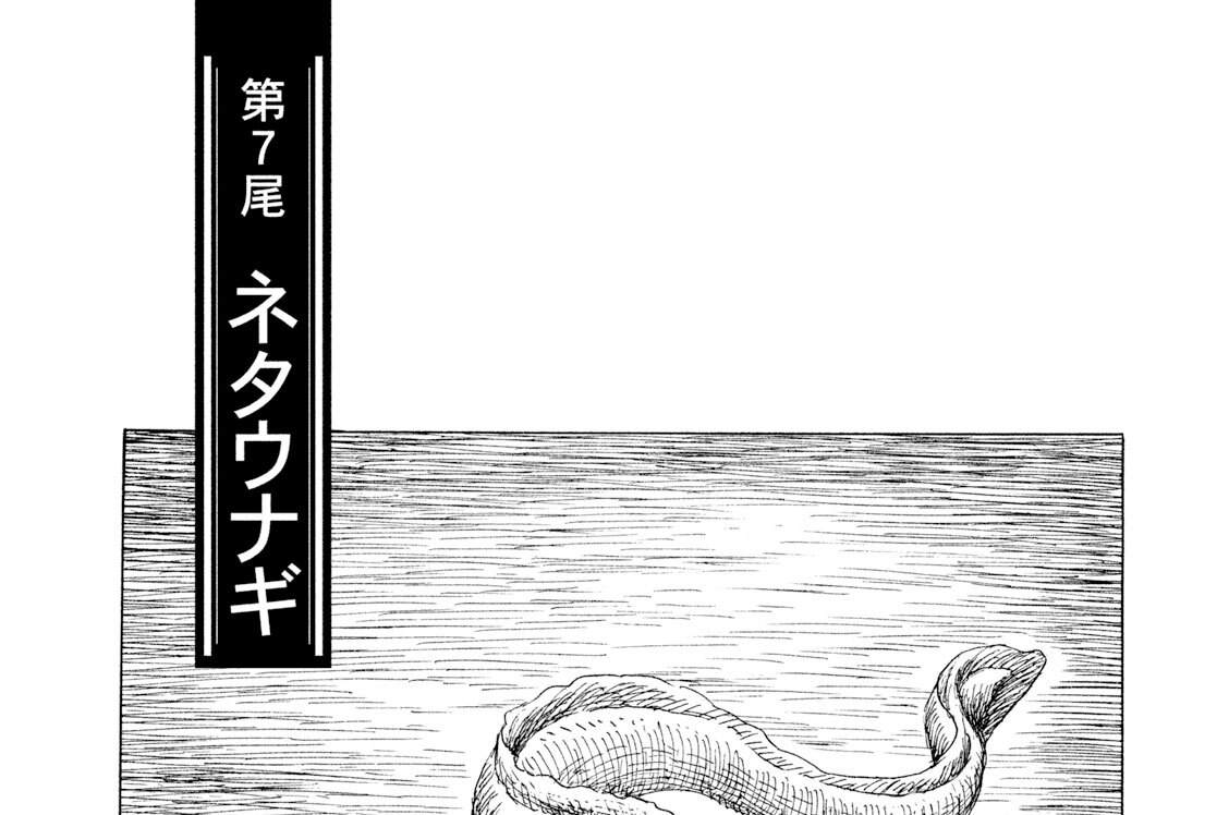 第７尾　ネタウナギ