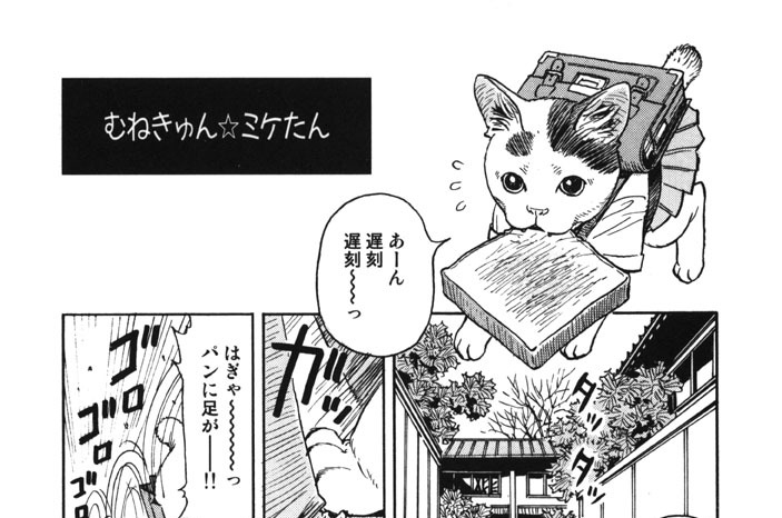 むねきゅん☆ミケたん