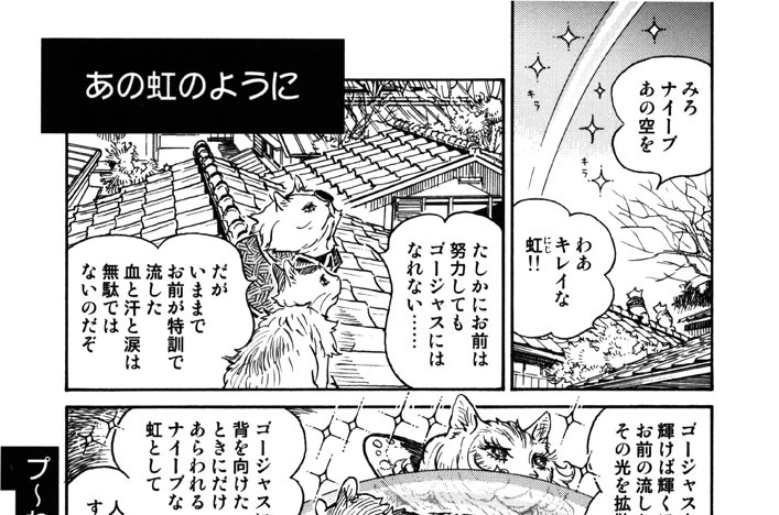 プ〜ねこ（６３）