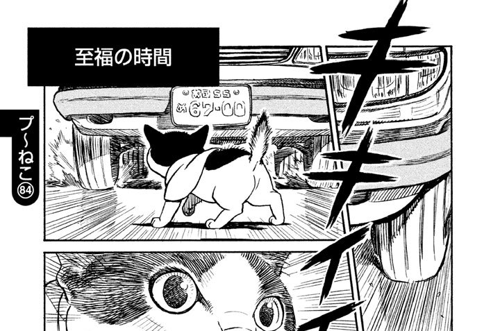 プ〜ねこ（８４）　至福の時間
