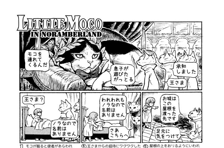 ＬＩＴＴＬＥ　ＭＯＣＯ　ＩＮ　ＮＯＲＡＭＢＥＲＬＡＮＤ