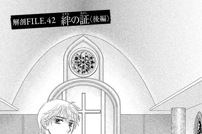 解剖ＦＩＬＥ．４２　絆（きずな）の証（あかし）〈後編〉