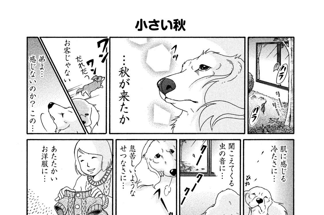 ２－（１７）秋がきた