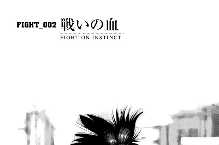 ＦＩＧＨＴ＿００２　戦いの血　ＦＩＧＨＴ　ＯＮ　ＩＮＳＴＩＮＣＴ