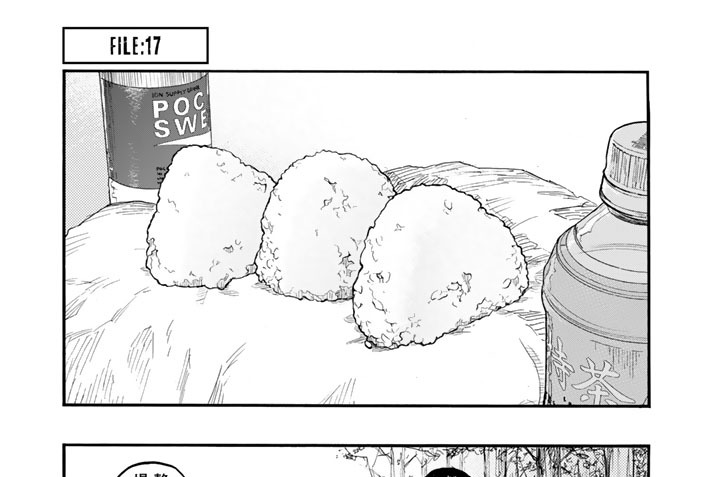 ＦＩＬＥ：１７　ダブルチーム