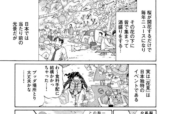 その７２　導師の桜