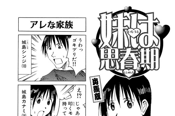 妹は思春期　出張版