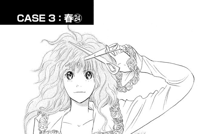 ＣＡＳＥ３：春（２４）