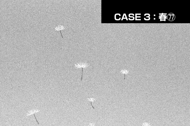 ＣＡＳＥ３：春（７７）