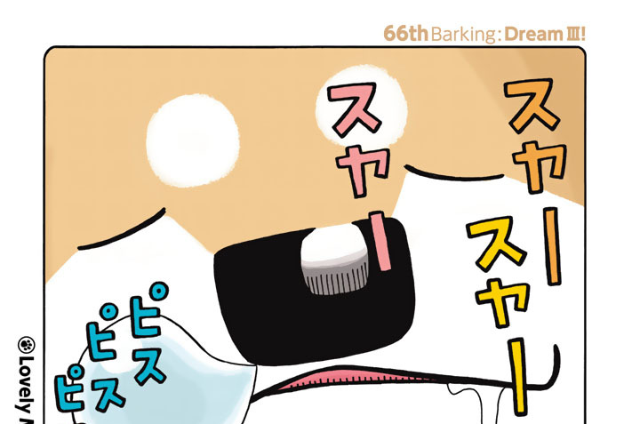 ６６ｔｈＢａｒｋｉｎｇ：ＤｒｅａｍⅢ！