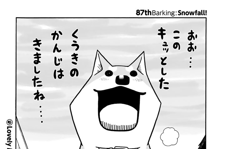 ８７ｔｈＢａｒｋｉｎｇ　：　Ｓｎｏｗｆａｌｌ！