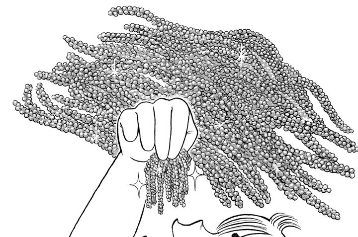 南海の宝石　海ぶどうのお寿司