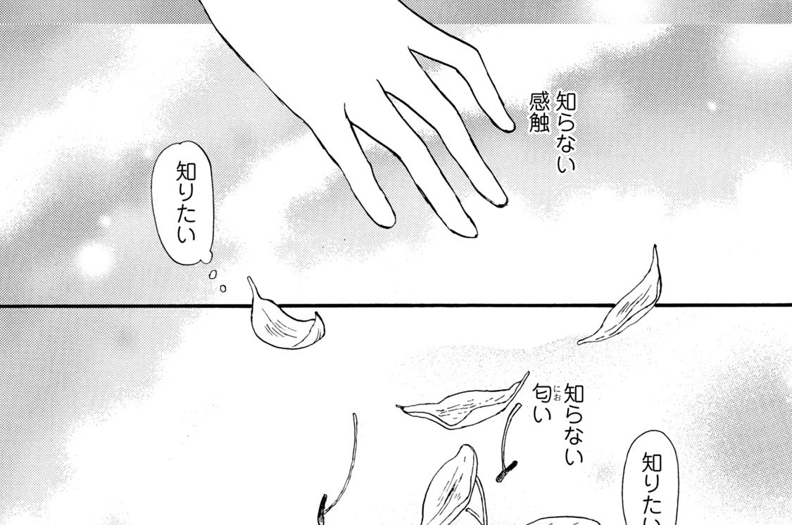 ｓｅｎｓｅ１２．アセンション ─次元上昇─