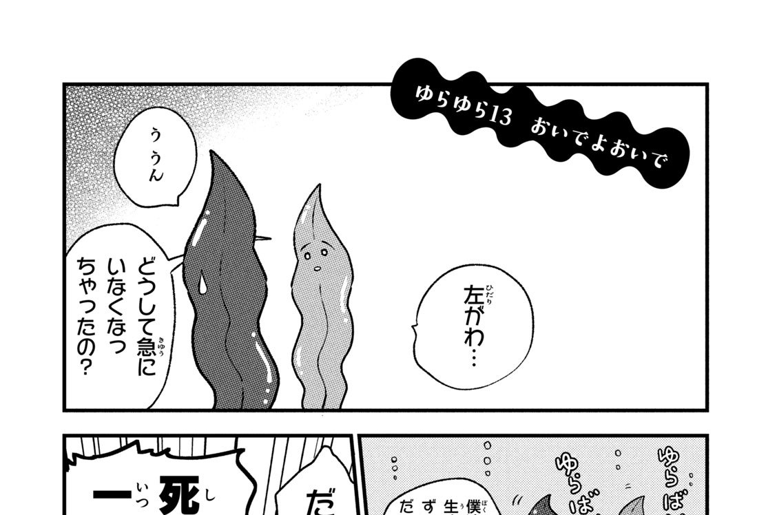 ゆらゆら１３　おいでよおいで