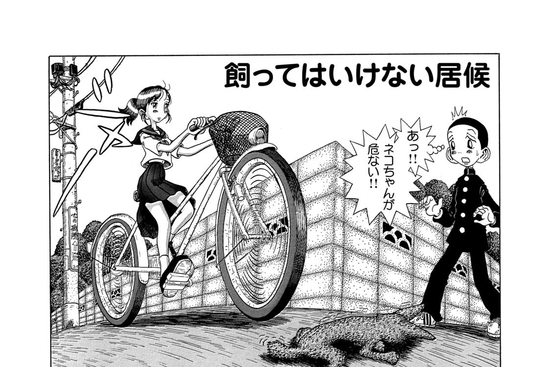 飼ってはいけない居候