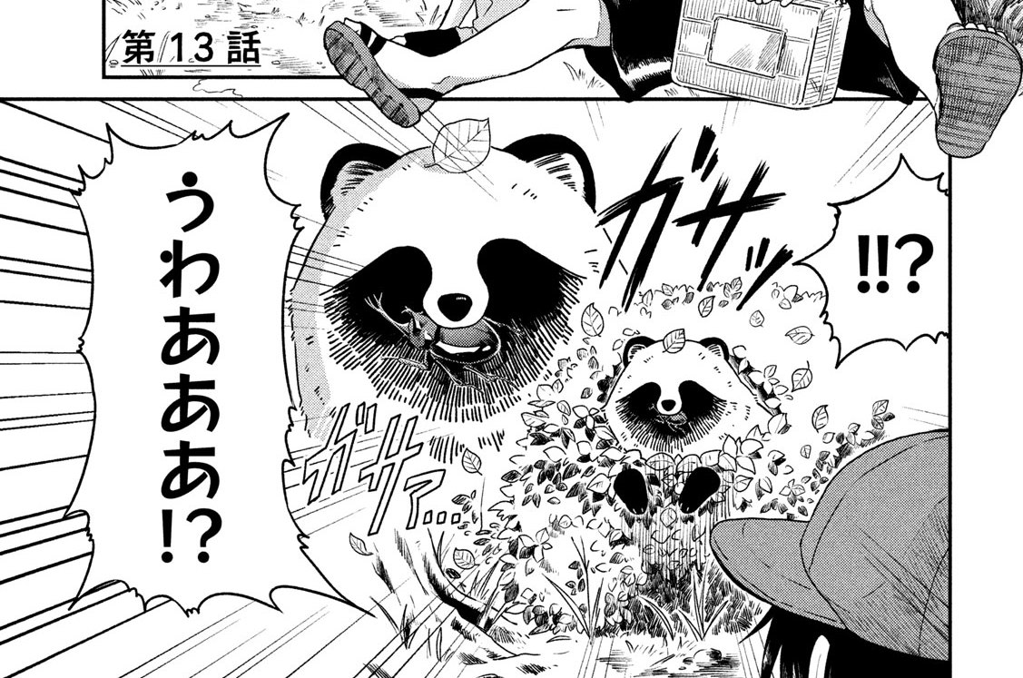 第１３話　カブトムシ