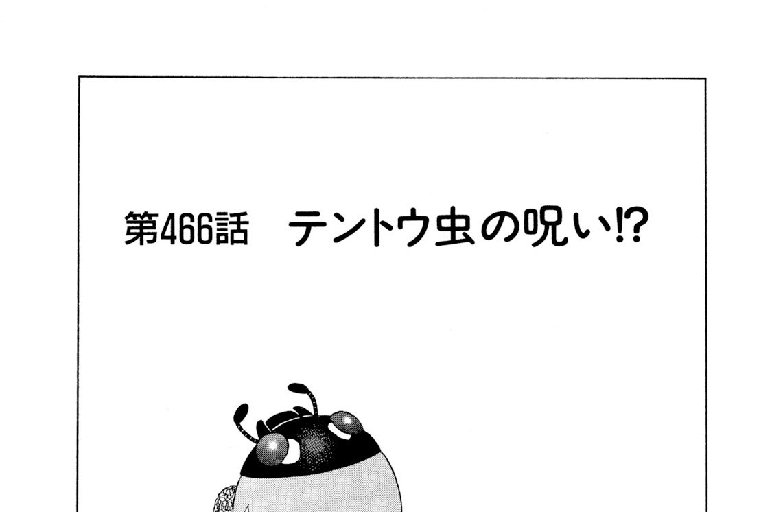 第４６６話　テントウ虫の呪い！？