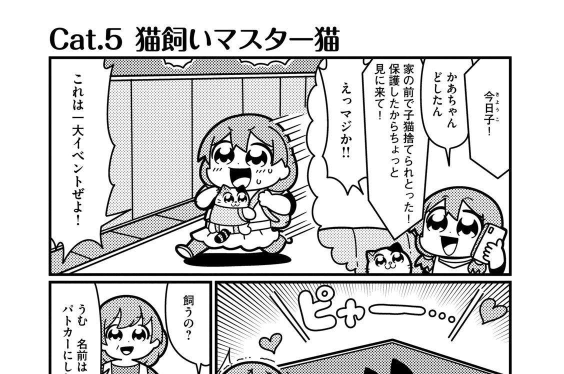 Ｃａｔ．５　猫飼いマスター猫