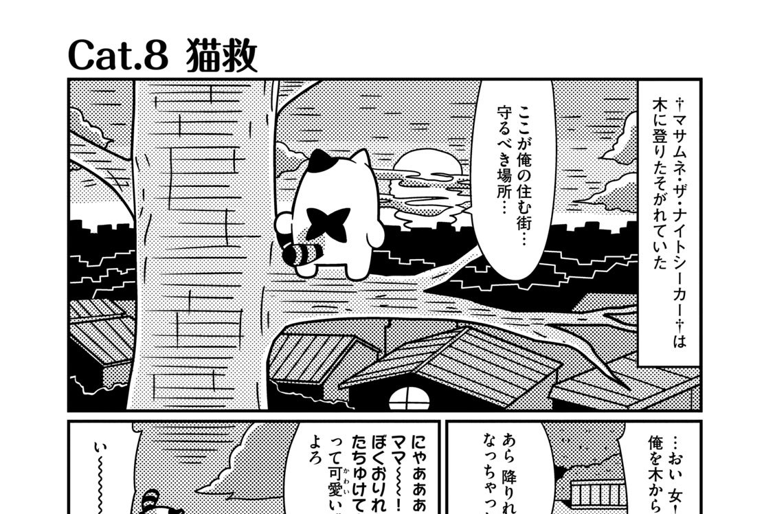 Ｃａｔ．８　猫救