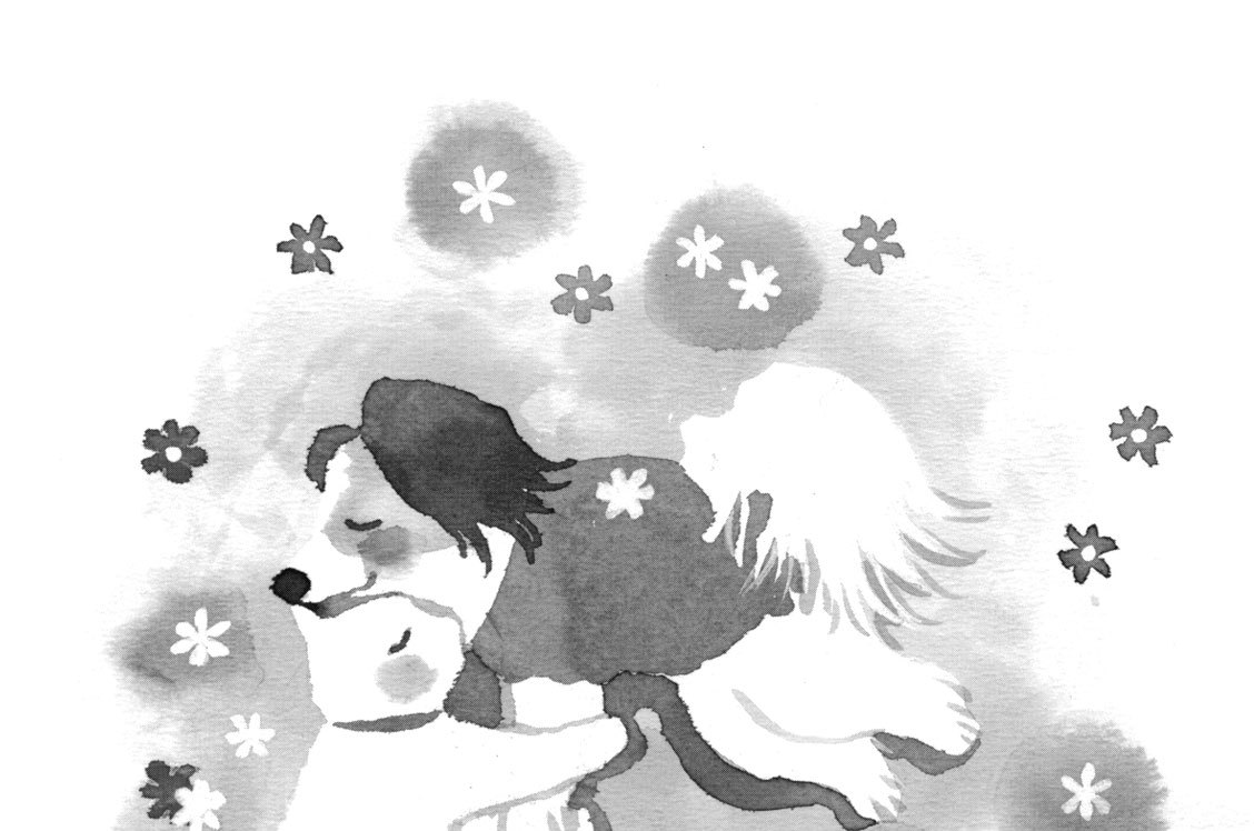 第五百六十三話　ざぶとん