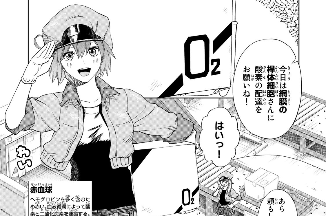 第２８話　ｉＰＳ細胞