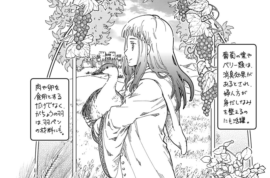 第７葉　霜降の季節①