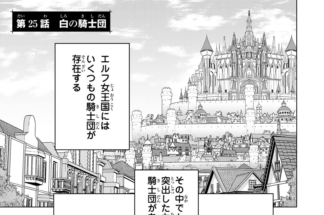 第２５話　白の騎士団