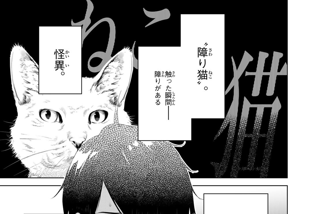 第五話　つばさキャット　００７