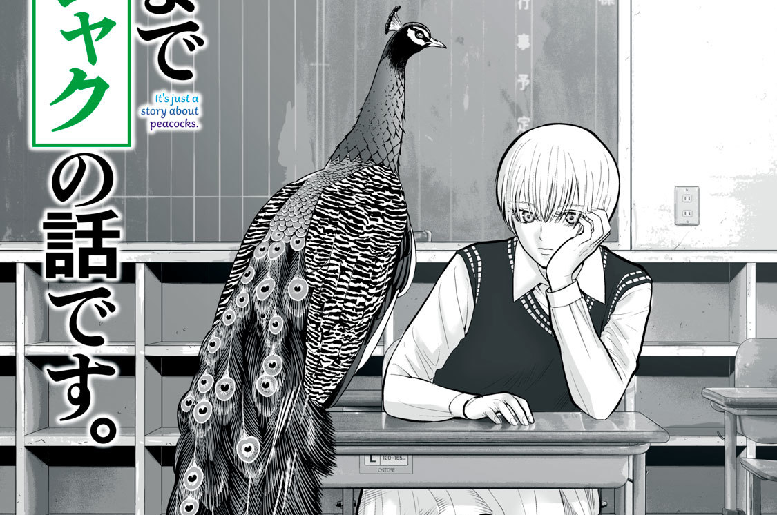 あくまでクジャクの話です。 - 小出もと貴 / ＃１／性淘汰 | コミックDAYS