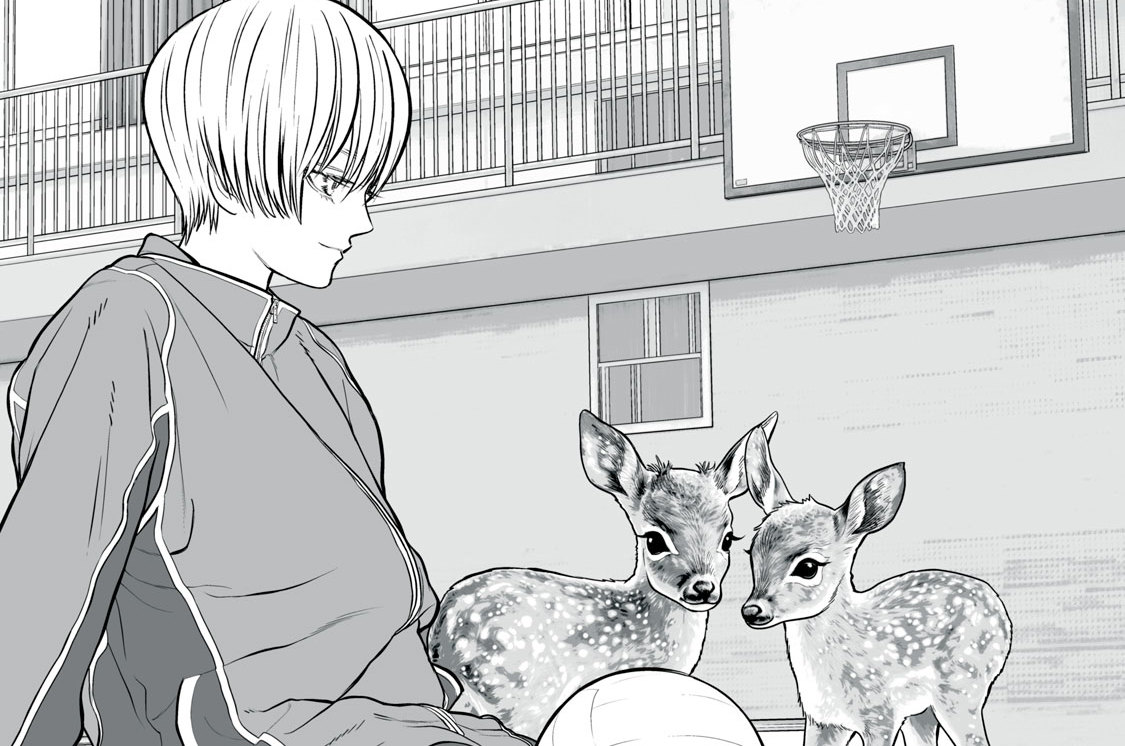 ＃１４／性的二型