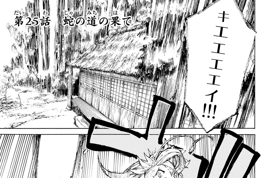 第２５話　蛇の道の果て