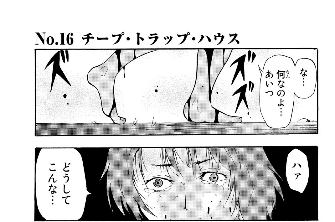 Ｎｏ．１６　チープ・トラップ・ハウス