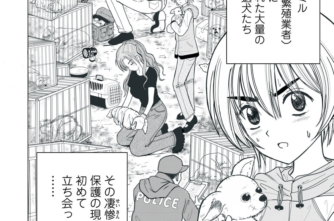 第２話　母犬と仔犬