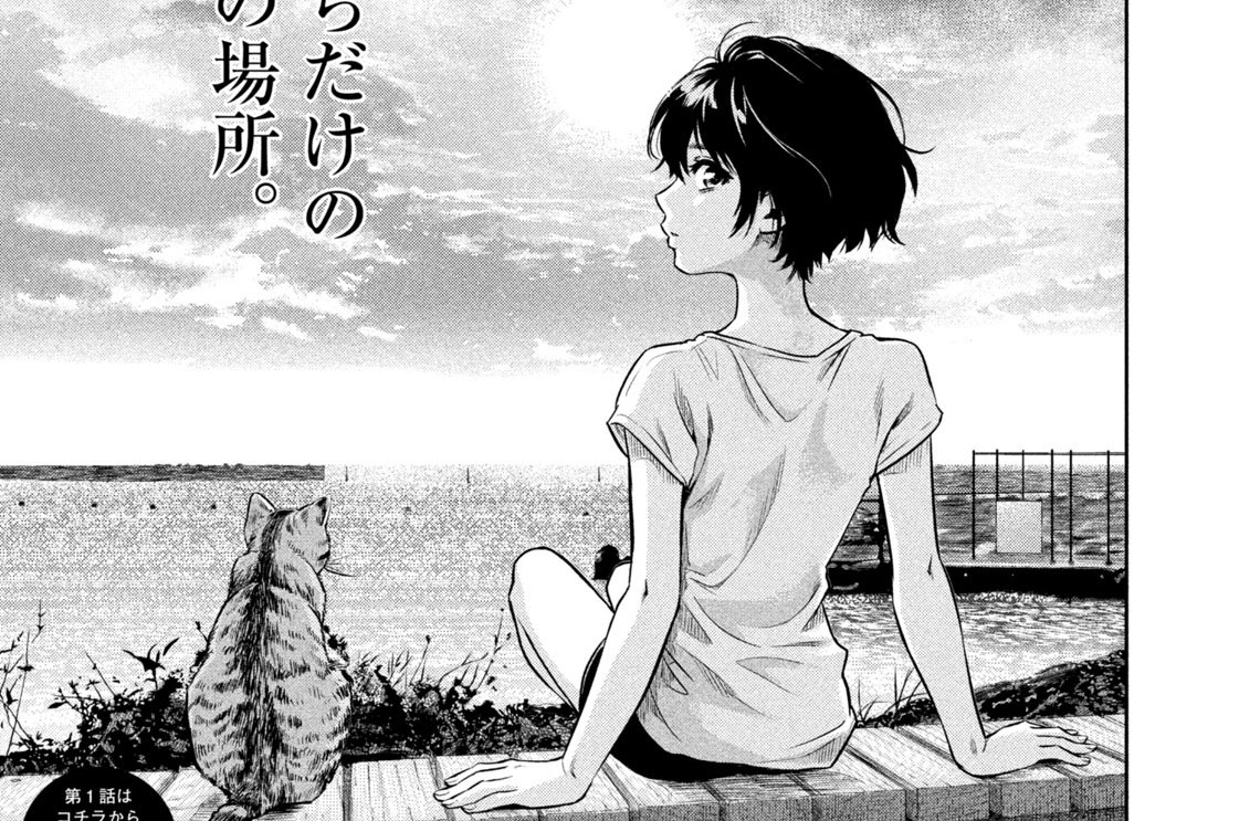 Ｔｒｉｃｋ１９　羽