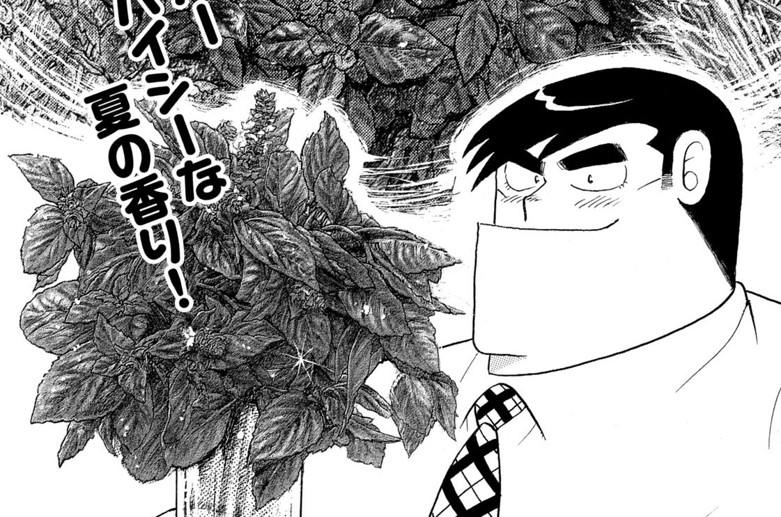 サンペイチーで大成功！！