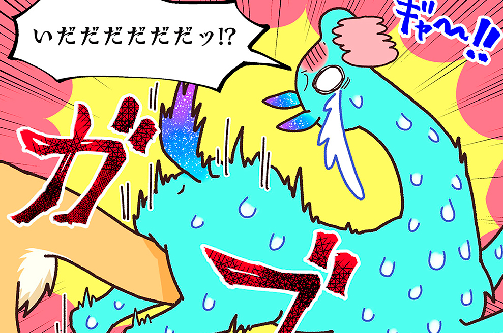 第１１話　ビクーニャ