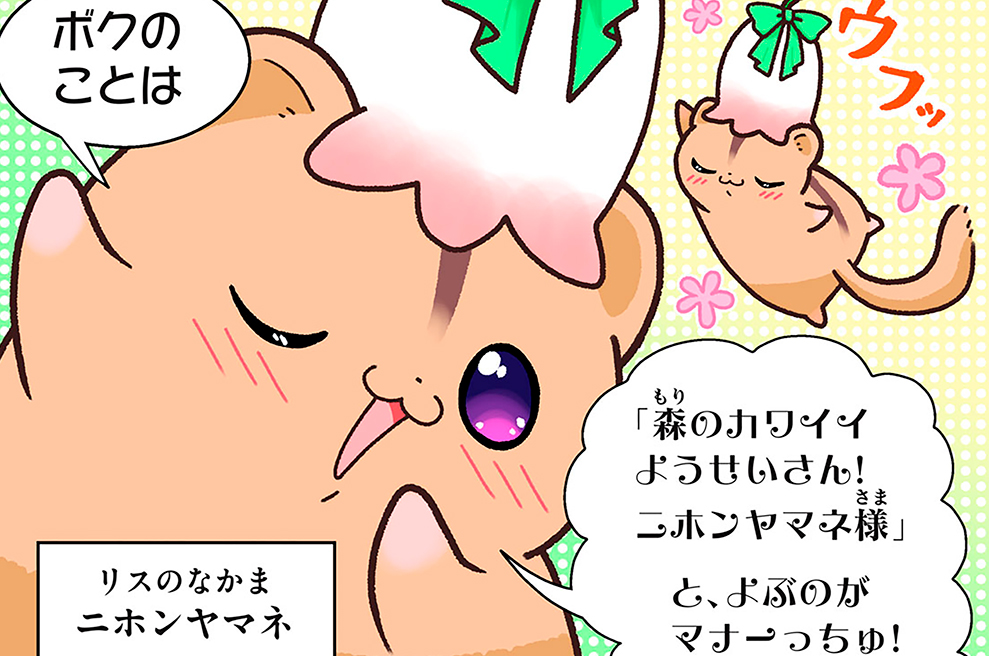 第１２話　ニホンヤマネ