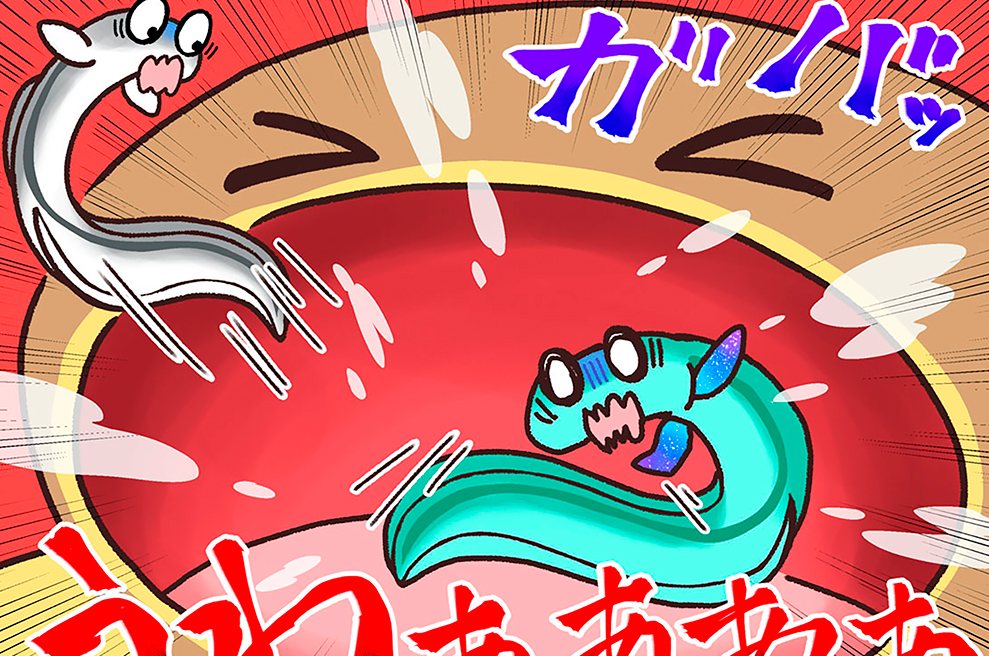 第１７話　クロコとドンコ