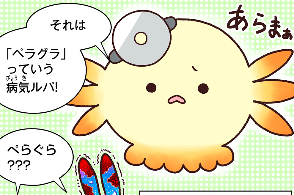 第２３話　トウモロコシ