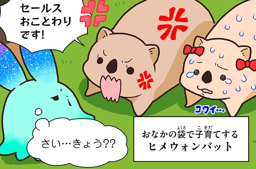 第２６話　ヒメウォンバット
