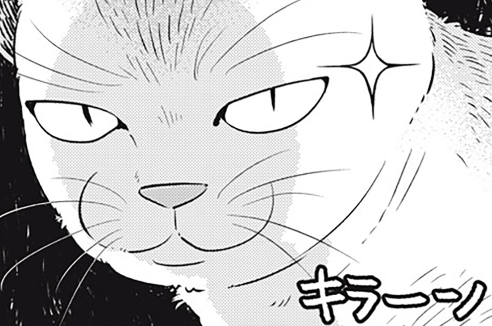 番外編　とある猫の日常