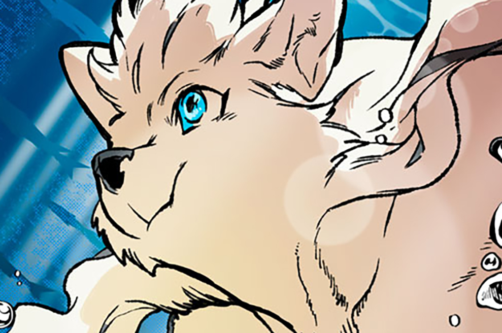 シランド - 墨佳遼 / 第１話　犬と猫の世界 | コミックDAYS