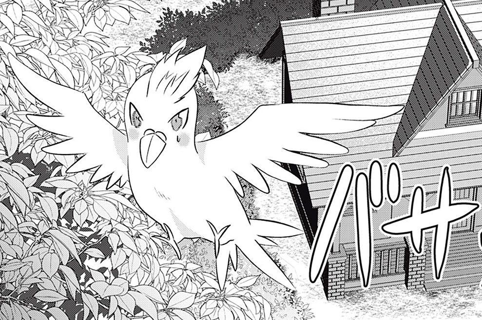 第十九話　こんなはずじゃなかった？ それは残念でしたね②