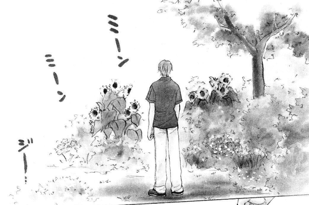 いつも月が見ていた