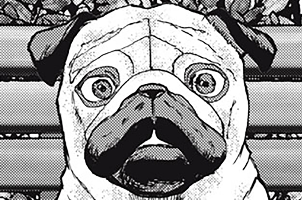 ＃６５　猫または犬