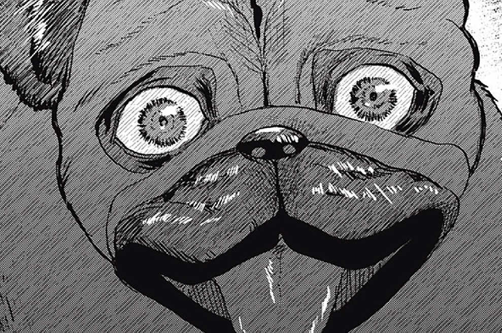 ＃７２　ボコる犬